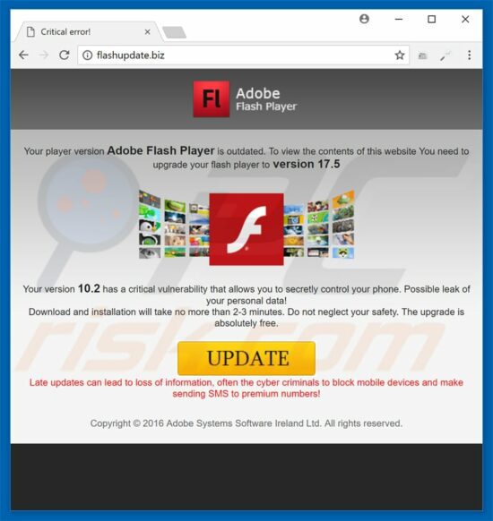 adobe flash download free